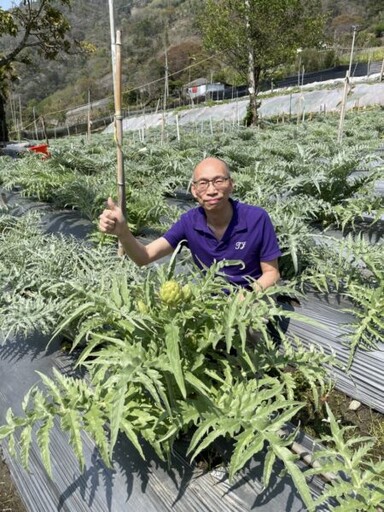 洋薊蔬菜皇解酒保肝？ 生化生理機轉是什麼？