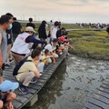 探訪台灣最美自然寶藏 高美溼地生態旅遊吸睛