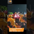 2025白沙屯媽祖進香開跑 全台最靈媽祖展現「粉紅超跑」魅力