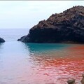 七美粉紅海奇景、原來是珊瑚產卵、七美鄉親呼籲「海洋保育別破壞」