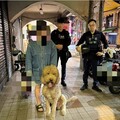 巨貴「百威」二度迷途 即刻出警助平安返家！