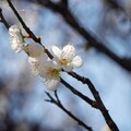 【郎亞玲有情癡】比想像，更美