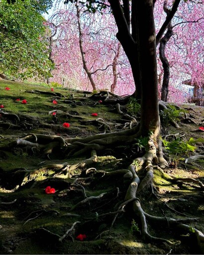 【郎亞玲有情癡】地心深處