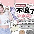 禾羽KIMI化身「不浪了」公益代言人 5/20記者會將揭開序幕 聚焦老齡浪浪醫療照護行動