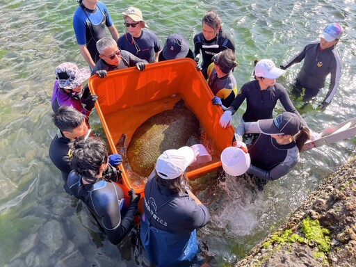 海龜誤入貢寮九孔池 新北動保處聯合啟動救援行動!