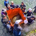 海龜誤入貢寮九孔池 新北動保處聯合啟動救援行動！