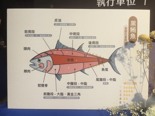 海中和牛「買魚去」讓頂級黑鮪直送到家