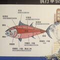 海中和牛「買魚去」讓頂級黑鮪直送到家