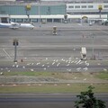 114年端午節澎湖航線華信、立榮加班機票位 28日上午9時開賣