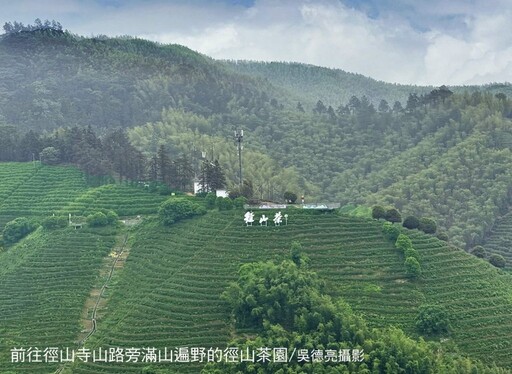 天下禪茶出徑山 一杯通透在人間