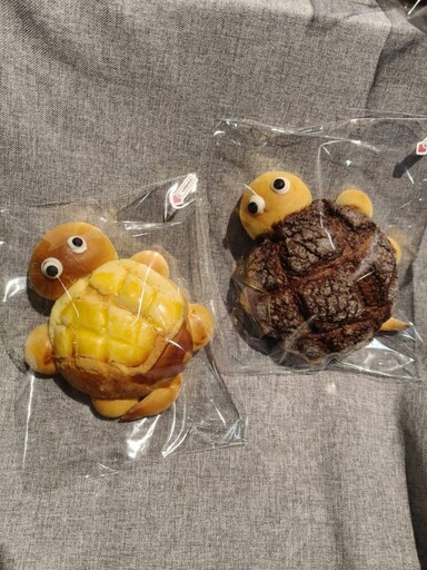 澎湖機場賣店「烏龜造型菠蘿包、彩色烏龜餅乾」吸引旅客目光、成打卡配件