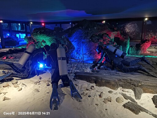 何以中國·行走海南丨博物館裡——遇見多彩海南!