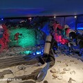 何以中國·行走海南丨博物館裡——遇見多彩海南！
