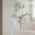 電風扇市售亂象頻傳！本土品牌CHIAO FU以節能認證實力 回應市場需求