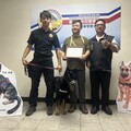 警犬Audi與Ninja榮退 投入溫馨家庭展開幸福第二人生
