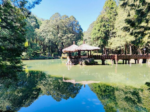 搭乘台灣好行輕鬆出遊！再抽阿里山賓館住宿券、來回機票