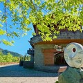 搭乘台灣好行輕鬆出遊！再抽阿里山賓館住宿券、來回機票