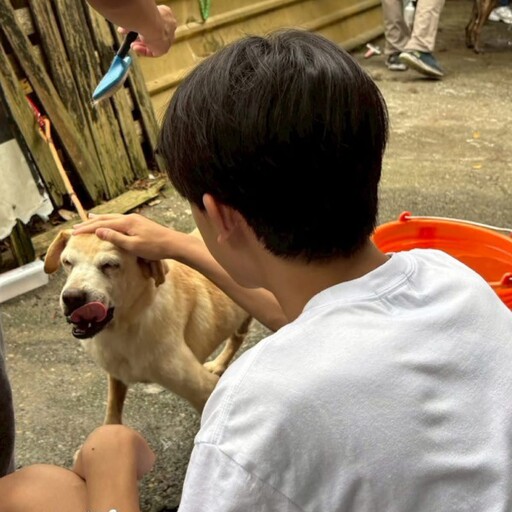鴻海FII百人志工團走入八里浪浪之家 與毛孩共享盛夏療癒時光