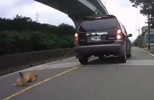 寵物也有命!狗被車拖行重傷 動保處:終身不得再飼養犬貓