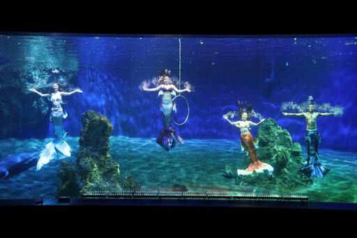 暑假最終全方位優惠,最狂學生票0元起! 遠雄海洋公園「買大送小」等多重優惠嗨玩整個夏天