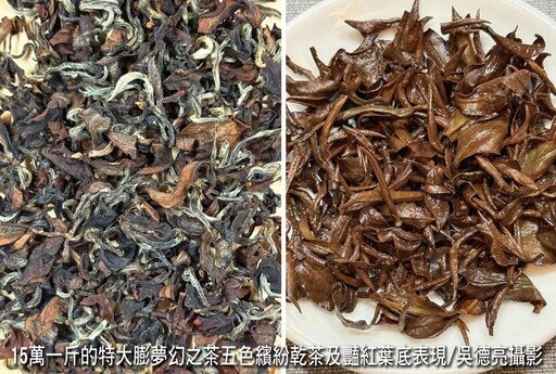 美人會年度聚會好茶品賞