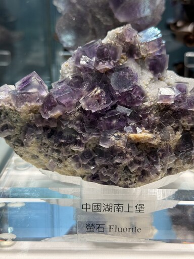 瑰寶三石展盛大落幕|2025國際寶石學術商貿展引領台灣珠寶新風潮
