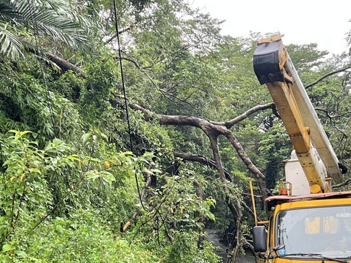 楊柳颱風遠離仍須注意電線掉落或外露 台電新竹區處：立即通知台電處理，避免釀成觸電意外