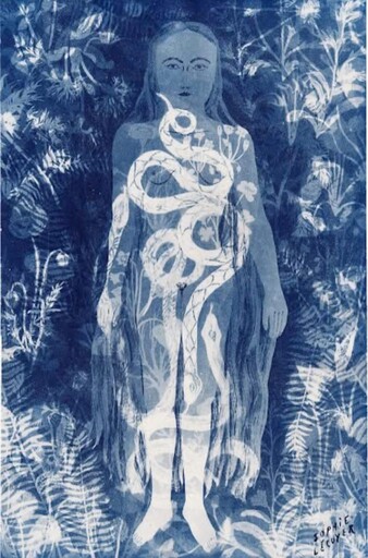 藍曬法(cyanotype) 布滿感光的紙面， 看到似真又浮的回憶。