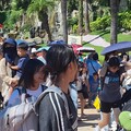 最低0元入園！海洋公園暑假門票優惠延長賽開打 8/22怪戰集結日哥吉拉最終戰壓軸登場！