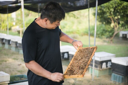 2025TITE台灣國際秋季旅遊展 茂林國家公園魅力登場