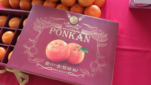 夏秋交織夢幻盛宴山城全攻略 石岡熱氣球嘉年華8/29夯登場