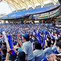 「酷城市、酷運動」品牌大放異彩 台中運動力遠見評鑑勇奪18面獎牌