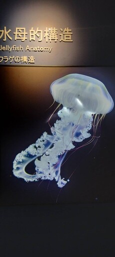 舶來品商圈「港風補帖－海線暖心小旅行」 串連旅遊與在地文化 打造經典行程