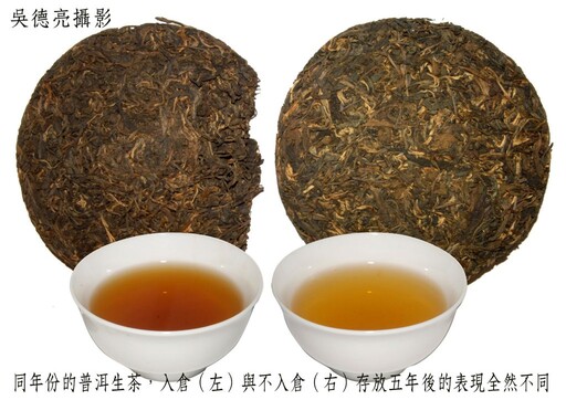 普洱茶「以陳為貴」乾倉與濕倉差別大公開