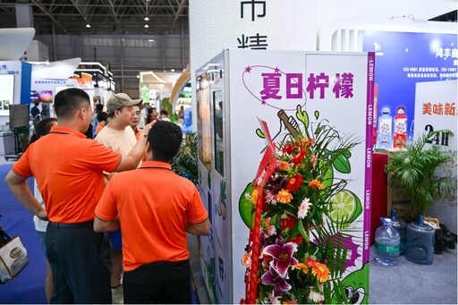 2025東莞臺博會閉幕——經貿合作、人文交流豐收！