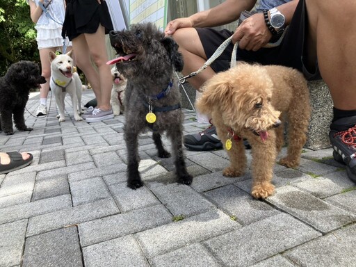 暖東苗圃狗狗趣味競賽吸引飼主參與 基隆動保所推廣狂犬病疫苗與寵物登記