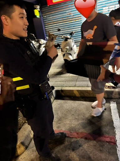 寒夜幼貓鑽入引擎室受困一小時 板橋警暖心徒手救援感動路人