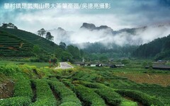 世界紅茶發源地－武夷山星村鎮桐木村