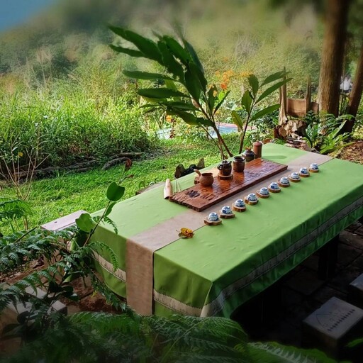 佛光山2025年書展暨蔬食博覽會 茂管處以茶會友推廣高雄原生山茶