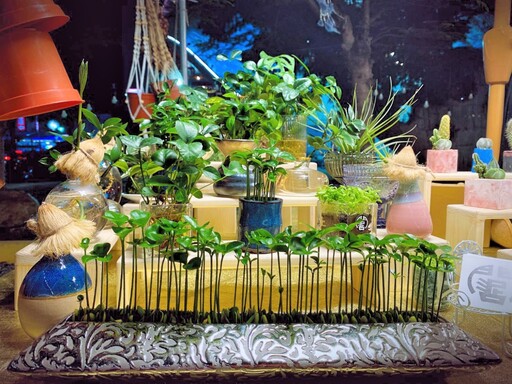 以園藝治療為主軸 救國團攜手問泥姐工作室結合地方長者活動與生活美學推出植物手作系列課程