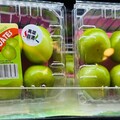 高雄農業局蜜棗試吃推廣活動告捷 通路首波下單出口3.2噸蓮霧