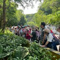 想學舞蹈、手機、語言別再等！樂齡進修券開放申請 最高補助3千元