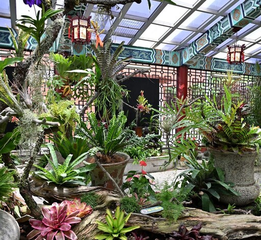 珍奇植物一次看!士林官邸雨林植物展盛夏開展