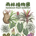 珍奇植物一次看！士林官邸雨林植物展盛夏開展