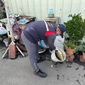 拒絕登革熱 ! 中市環保局呼籲市民把握雨後黃金48小時清除積水容器