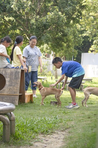 來台中市動物之家陪毛孩FUN一夏! 2025療癒犬夏令營登場