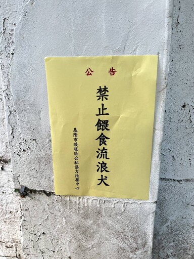 暖暖托嬰中心周邊流浪犬聚集 基市府該呼籲民眾勿餵養