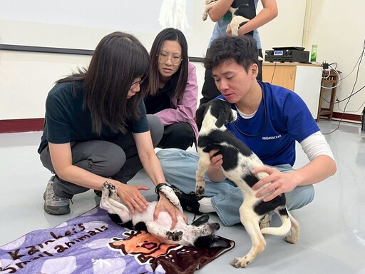 大家一起毛起來學「狗語」！高市動保處暑期訓犬課程圓滿落幕 助飼主及毛孩同步升級吸引超過200人次參與