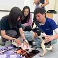 大家一起毛起來學「狗語」！高市動保處暑期訓犬課程圓滿落幕 助飼主及毛孩同步升級吸引超過200人次參與