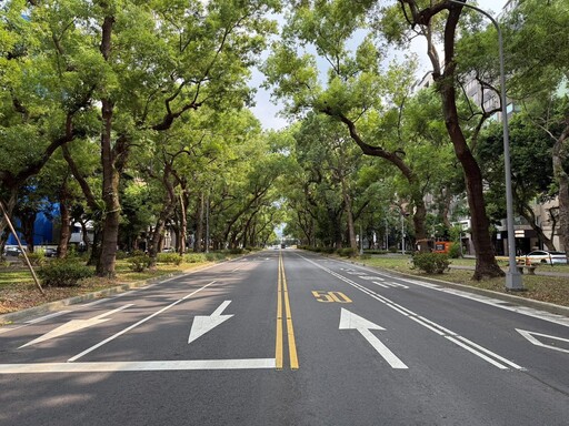 降溫3度!北市仁愛路「天然冷氣房」真相大公開